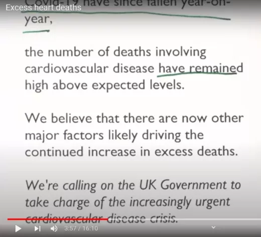 BHF Chief Exec Calls Out Excess Deaths Figures